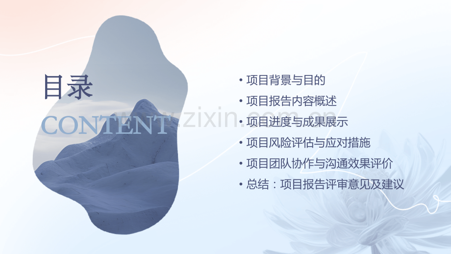 项目报告评审.pptx_第2页