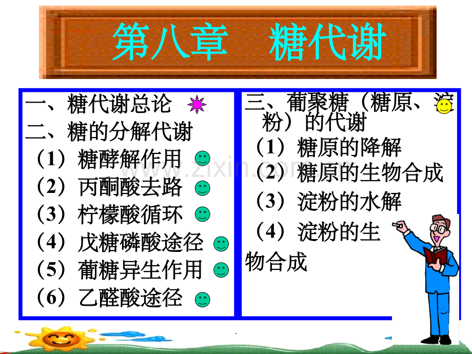 生物化学——糖代谢.ppt_第3页