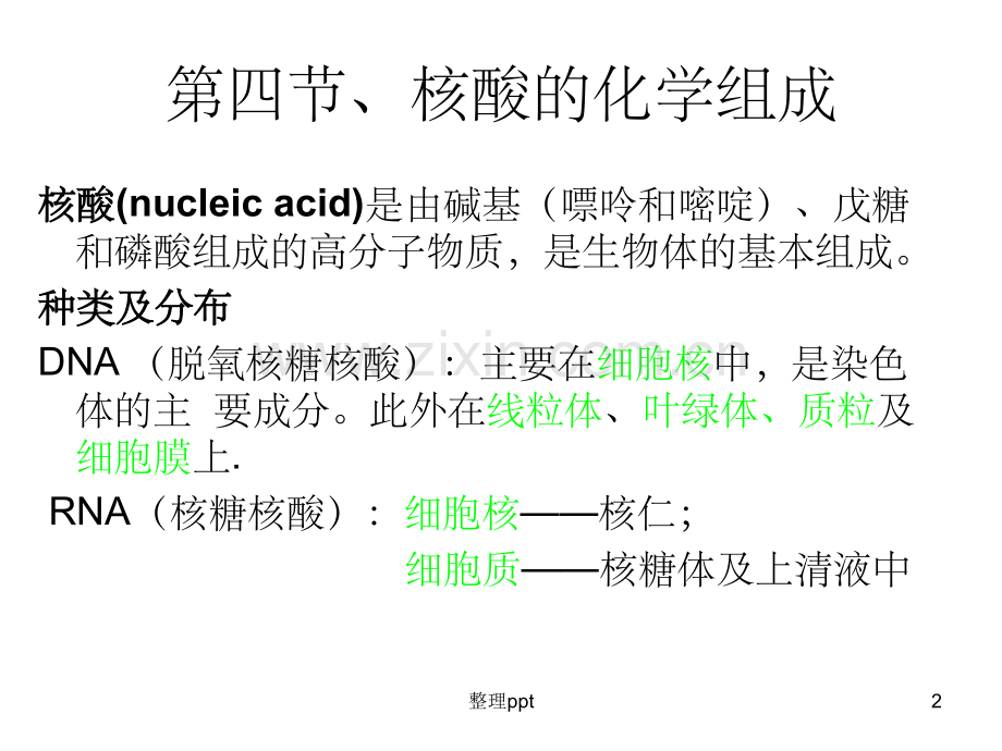 《蛋白质与核酸》-.ppt_第2页