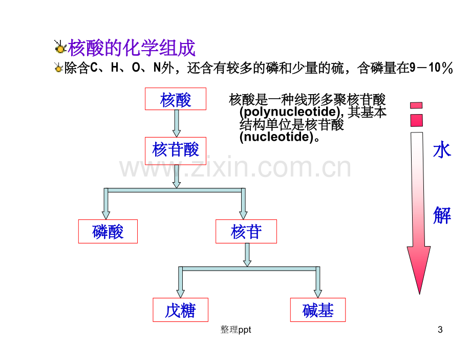 《蛋白质与核酸》-.ppt_第3页