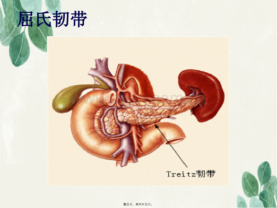 上消化道出血的诊治概要.pptx_第2页