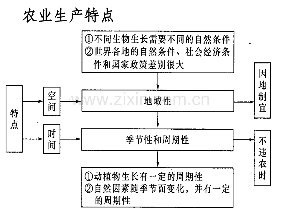 主要农业地域类型.ppt_第3页