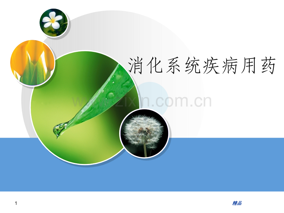 消化系统用药.ppt_第1页