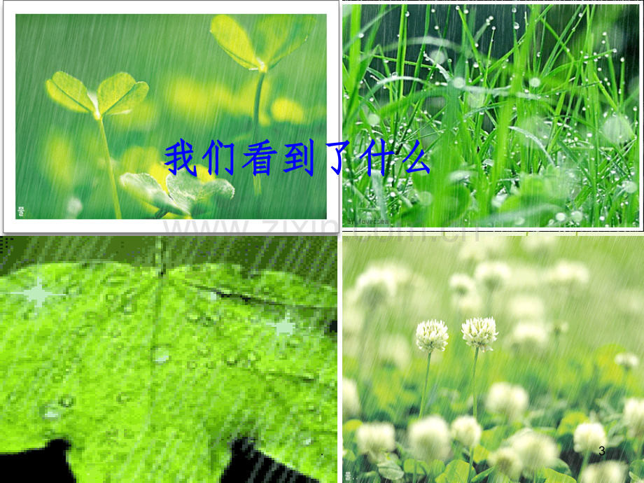 小学一年级音乐：小雨沙沙.ppt_第3页