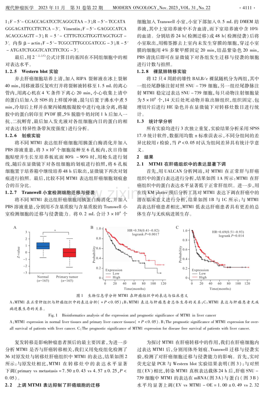 肌管蛋白MTM1抑制肝癌细胞迁移及侵袭的作用研究.pdf_第3页