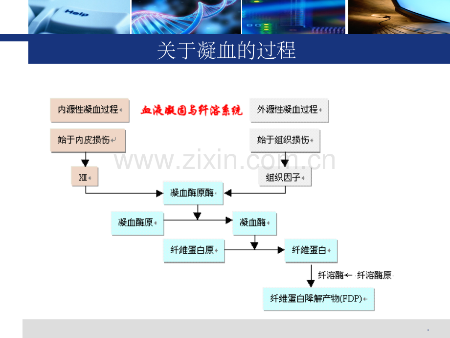 氨甲环酸在骨科中的应用情况.ppt_第2页