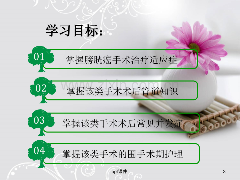 全膀胱切除+输尿管皮肤造口术的围手术期护理.ppt_第3页