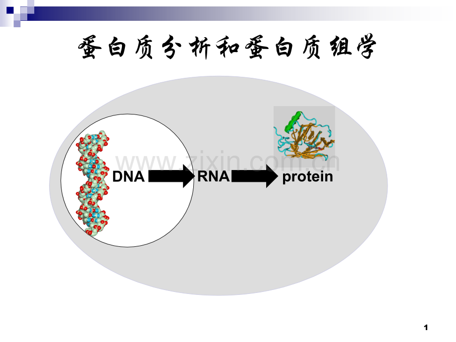 蛋白质分析和蛋白质组学.ppt_第1页