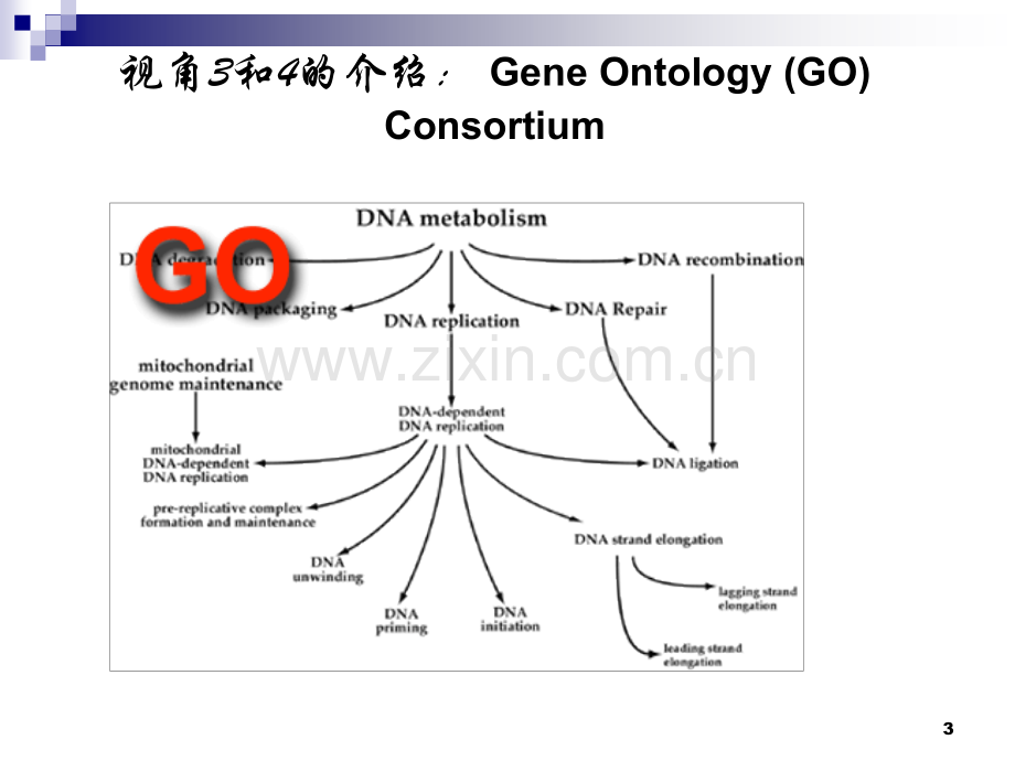 蛋白质分析和蛋白质组学.ppt_第3页