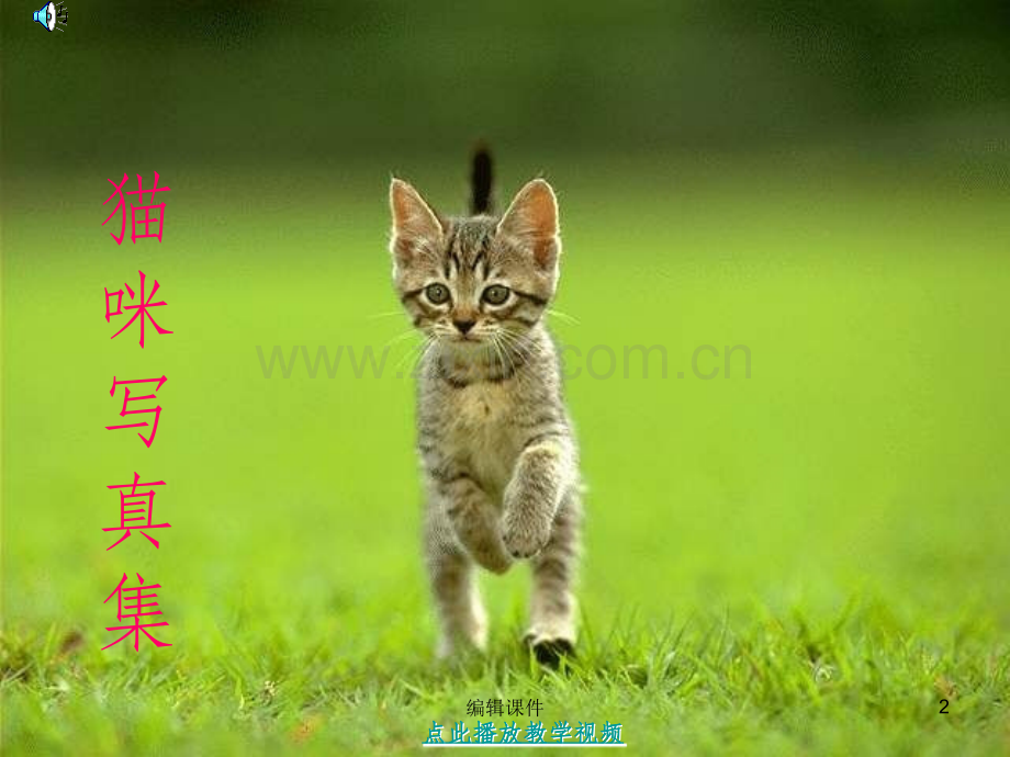 人教版四年级上册《猫》.ppt_第2页