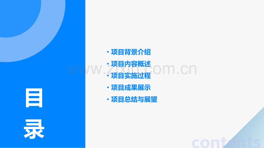 项目报告书.pptx_第2页