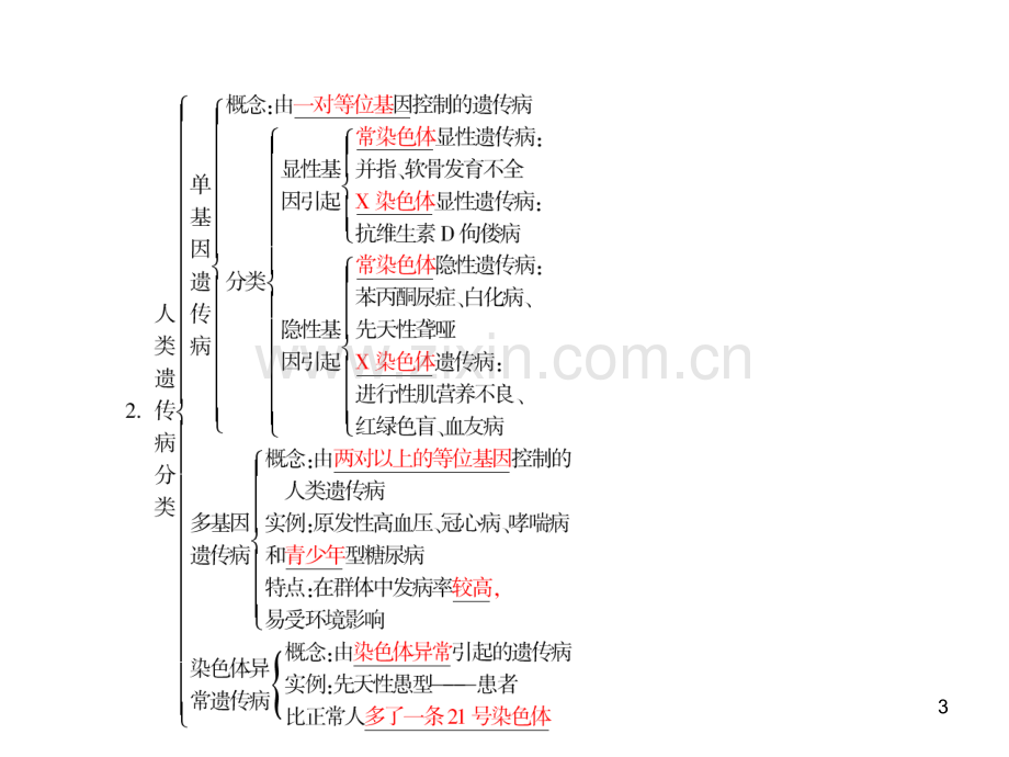 遗传病的概念及常见类型.ppt_第3页