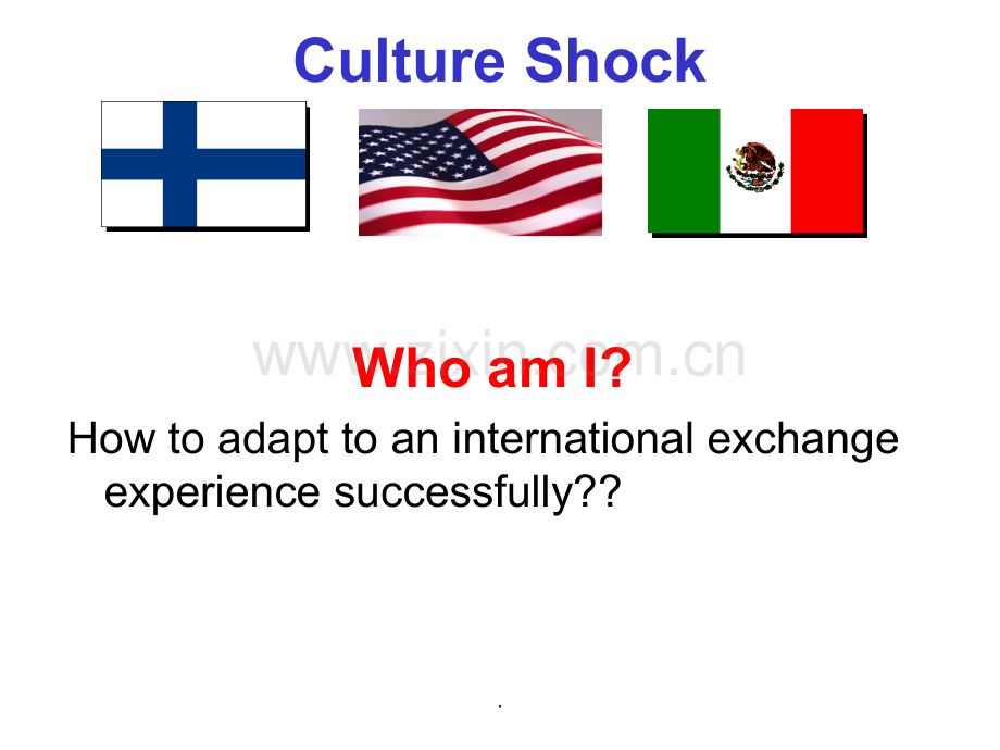 cultureshock跨文化交际.ppt_第2页