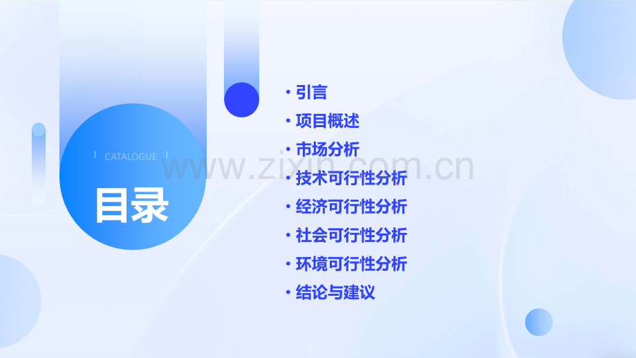 可行性研究报告的报告.pptx_第2页