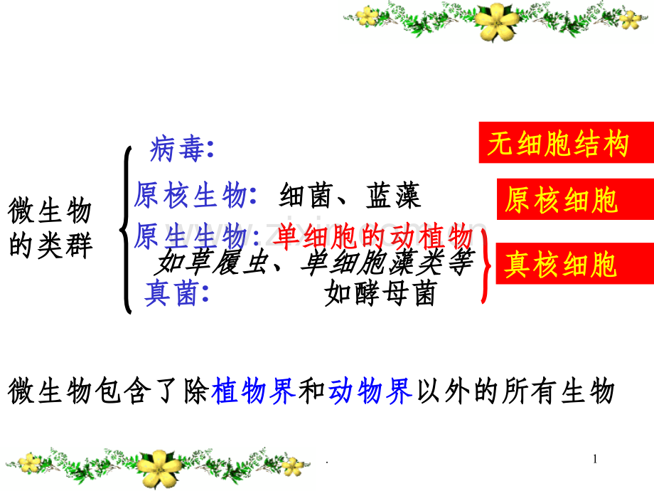 微生物的实验室培养经典版.ppt_第1页