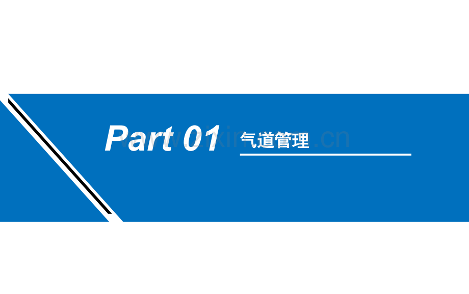 气道管理与血气分析.pptx_第2页