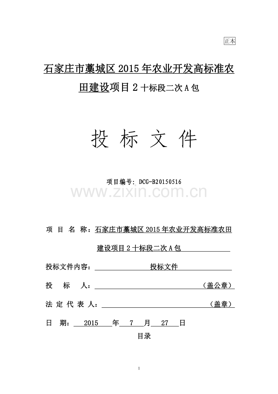 农业开发高标准农田建设项目投标文件.doc_第1页