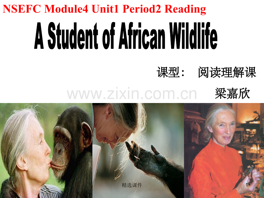 B4U1Reading-A-Student-of-African-Wildlife-(一师一优课).ppt_第1页