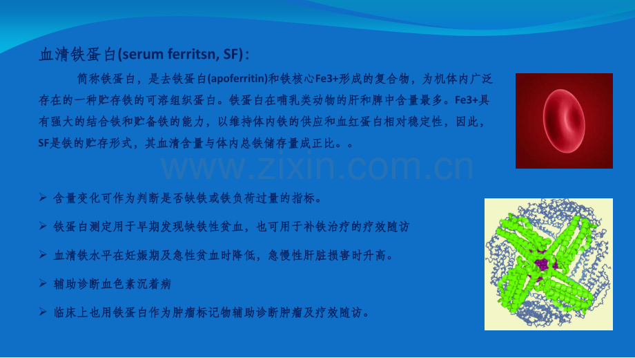 贫血系列.ppt_第2页