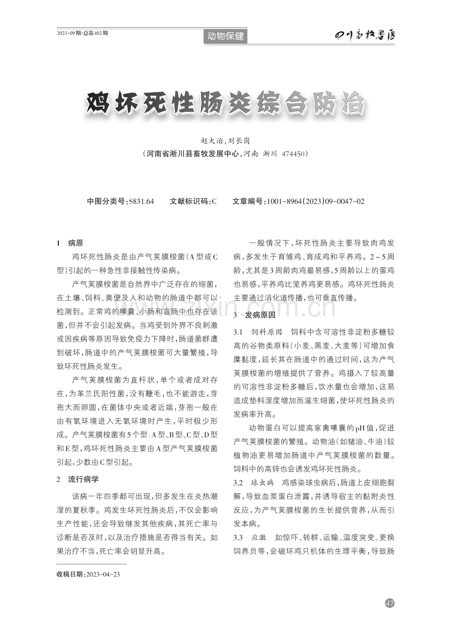 鸡坏死性肠炎综合防治.pdf_第1页