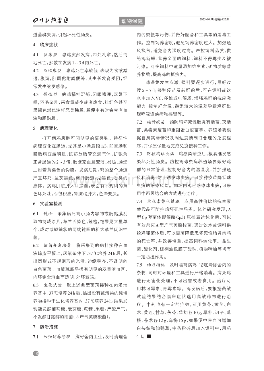 鸡坏死性肠炎综合防治.pdf_第2页