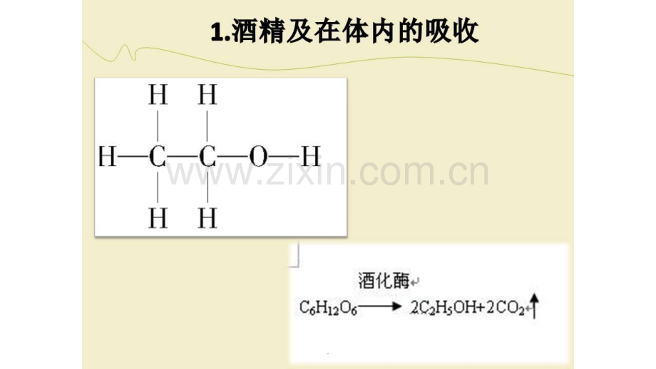 饮酒与健康.pptx_第3页