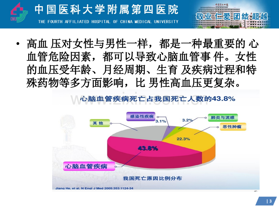 女性高血压的特点及治疗.pptx_第3页