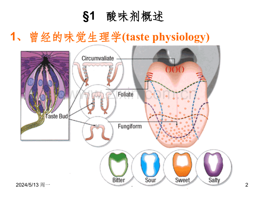 食品添加剂之酸味剂.ppt_第2页