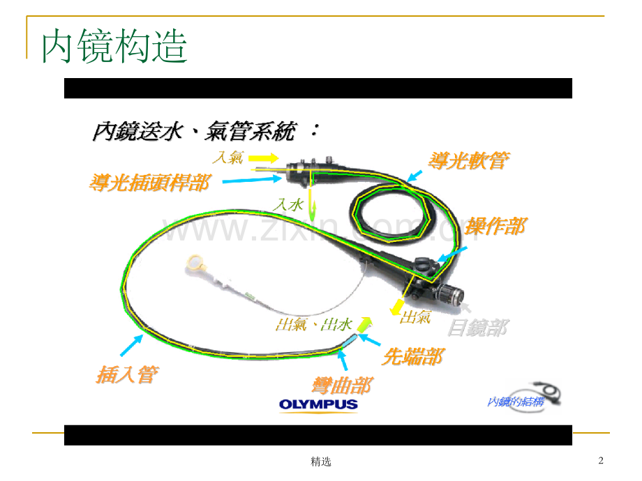 胃镜操作基础知识.ppt_第2页