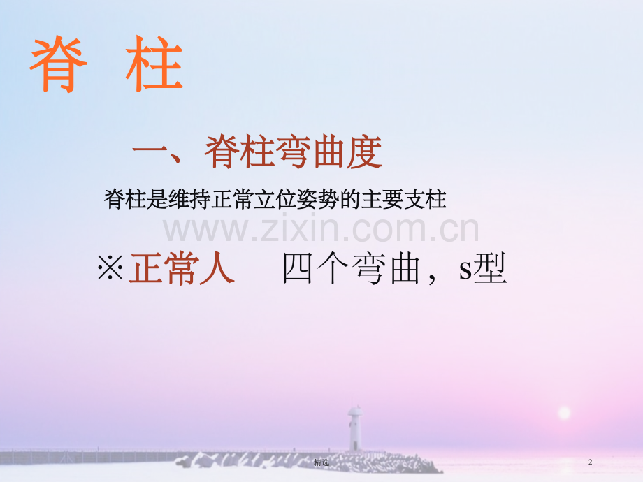 脊柱及四肢体格检查.ppt_第2页