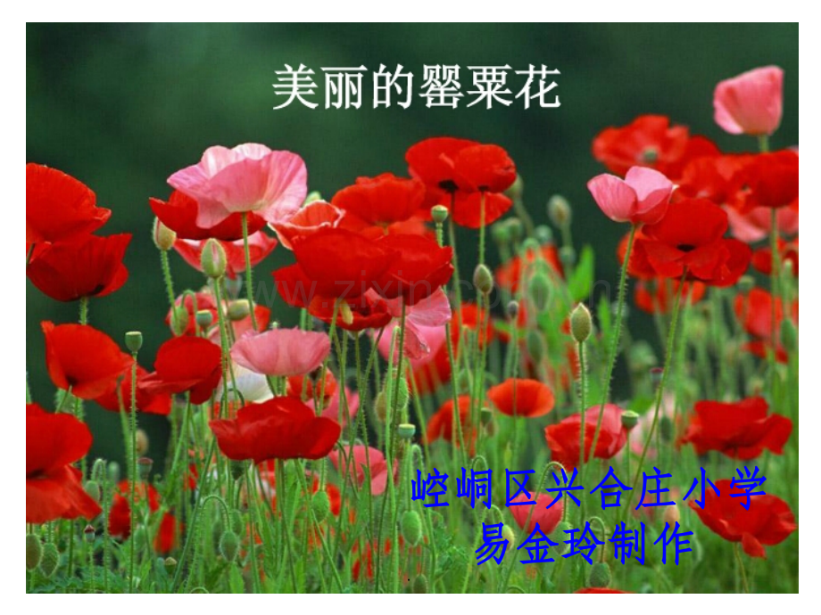 “禁毒教育”.ppt_第2页