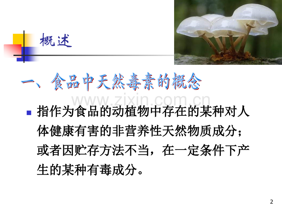 动植物中的天然有毒物质.ppt_第2页