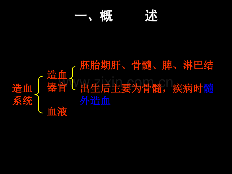 病理学淋巴造血系统疾病.ppt_第2页