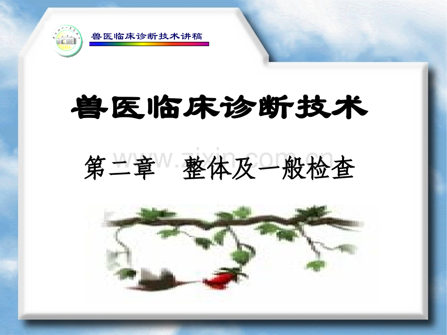 兽医临床诊断.ppt_第1页