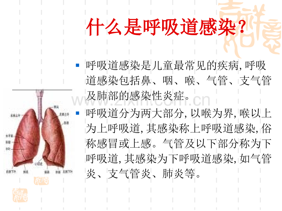 反复呼吸道感染.ppt_第2页