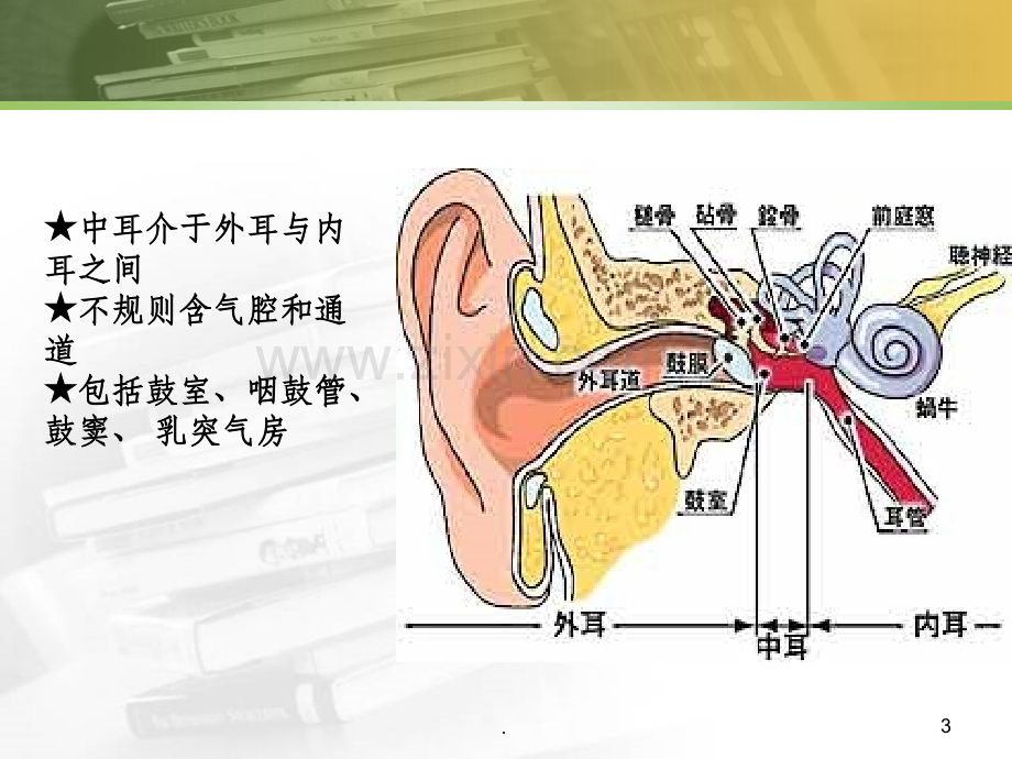 鼓室解剖.ppt_第3页