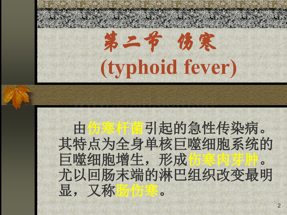 传染病伤寒菌痢.ppt_第2页