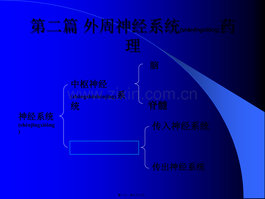 第四章传出神经系统药理概论讲述.ppt_第1页