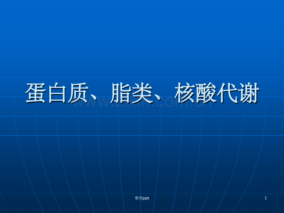 《蛋白质、脂类、核酸》.ppt_第1页