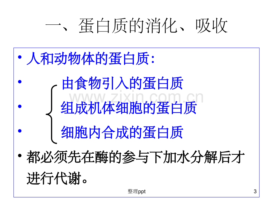 《蛋白质、脂类、核酸》.ppt_第3页