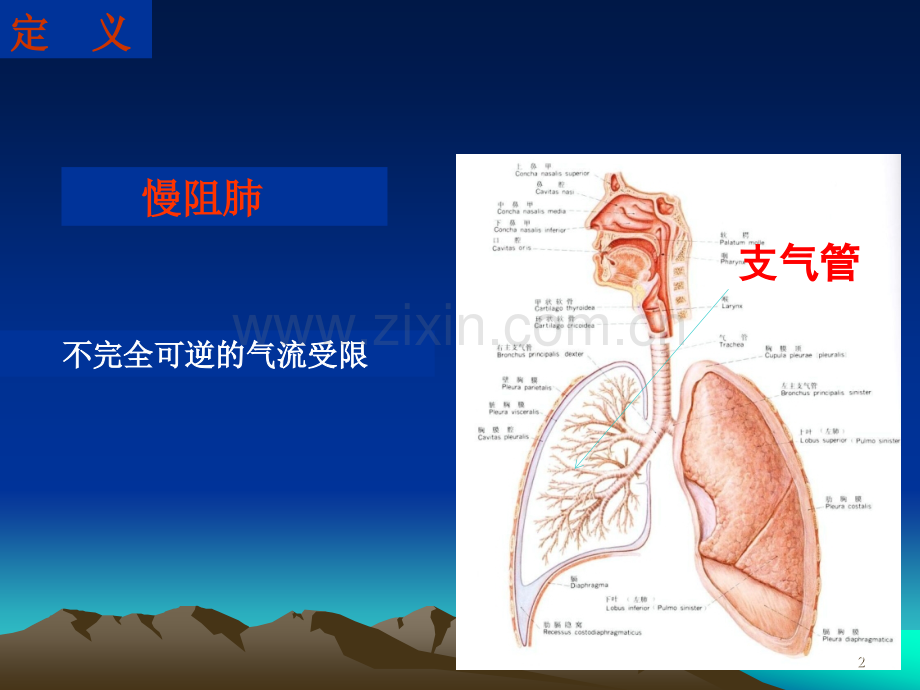 慢阻肺专家共识.ppt_第2页