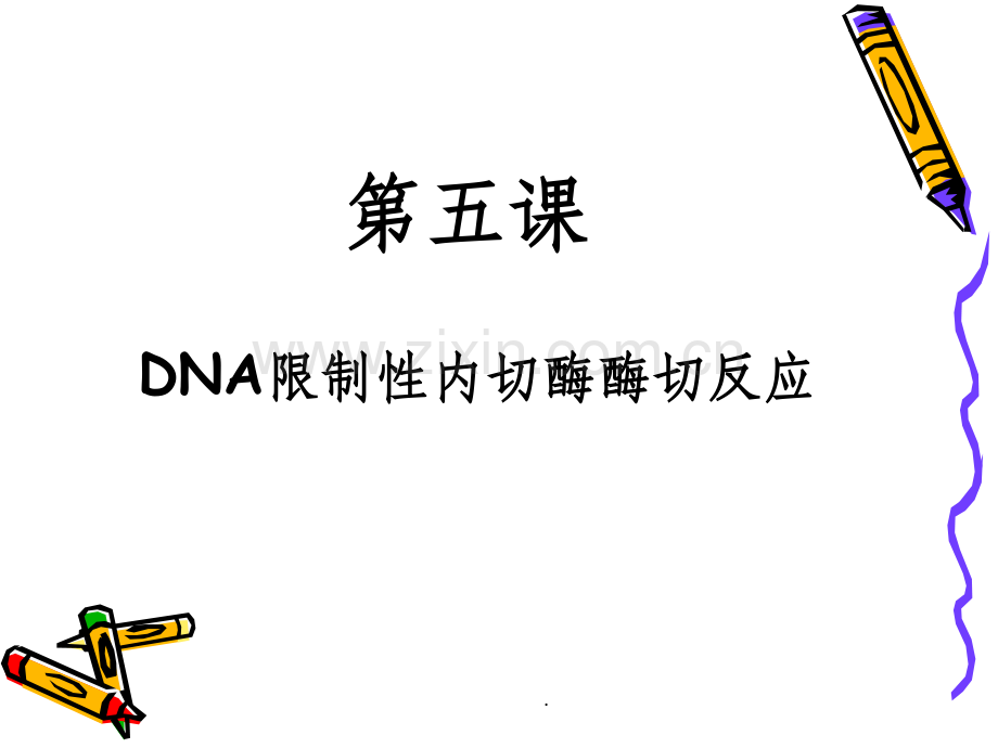 第五课-DNA限制性内切酶酶切反应.ppt_第1页