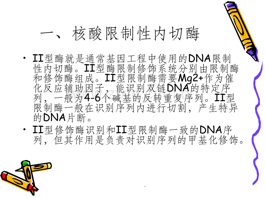 第五课-DNA限制性内切酶酶切反应.ppt_第3页