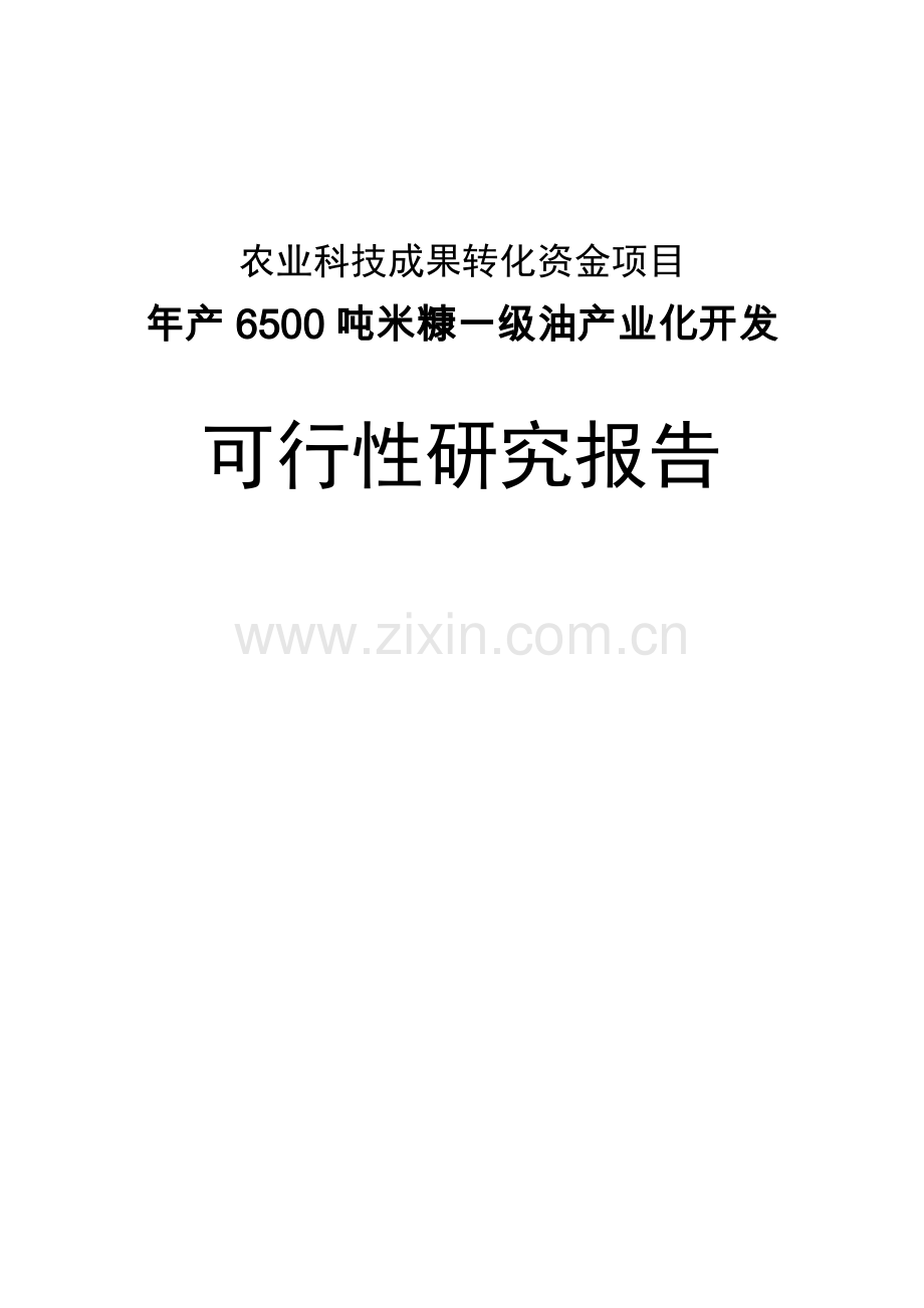 年产6500吨米糠油产业化开发申请建设可研报告.doc_第1页