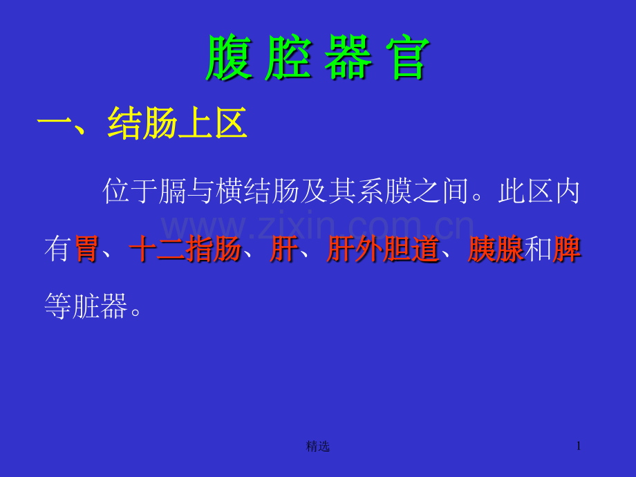 胃的解剖.ppt_第1页