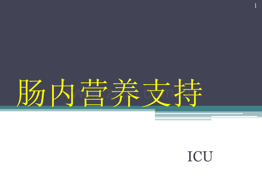 肠内营养支持(护理).ppt_第1页