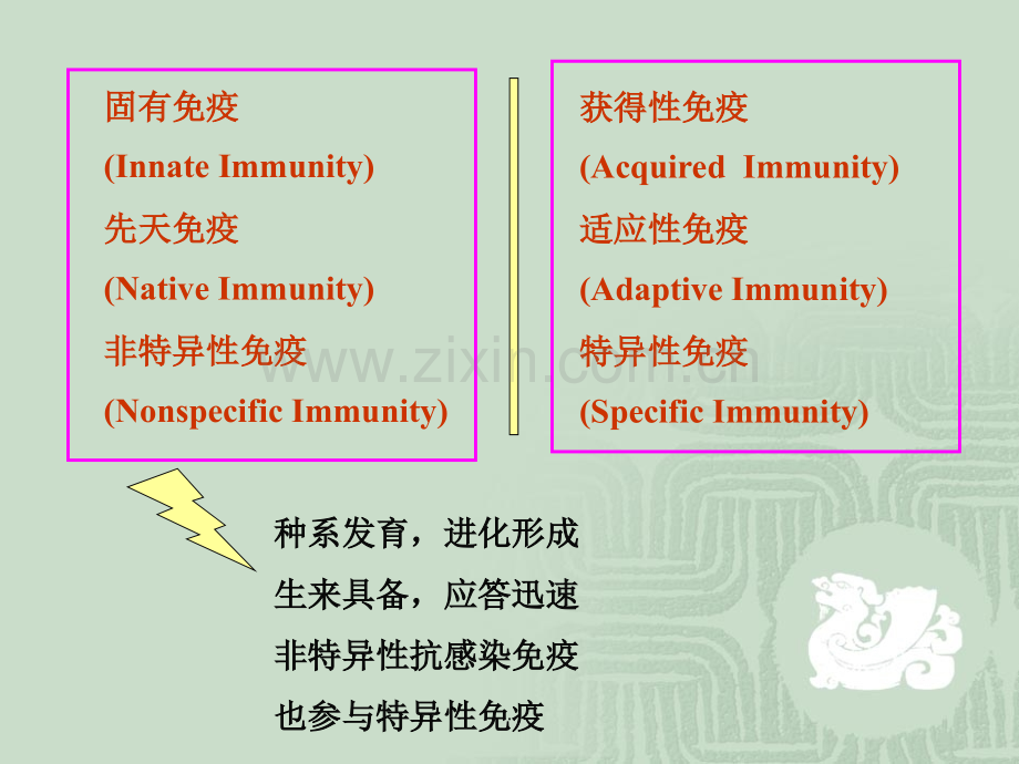 免疫学固有免疫.ppt_第2页