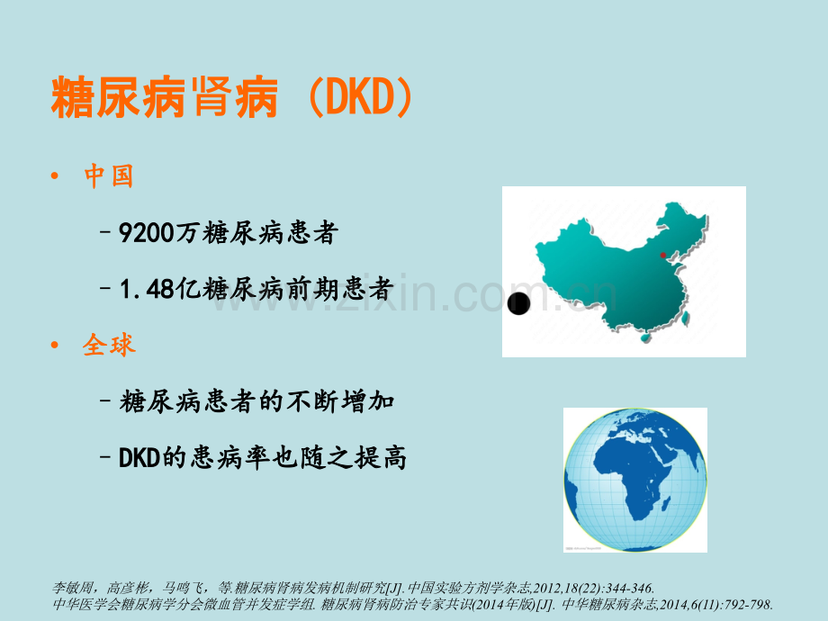 糖尿病肾病的一体化治疗.ppt_第2页