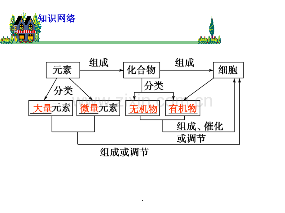 细胞中的元素-化合物一轮复习.ppt_第2页