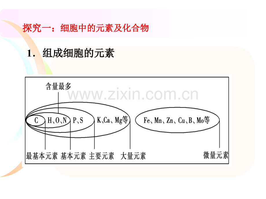 细胞中的元素-化合物一轮复习.ppt_第3页